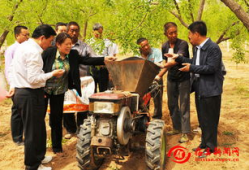 临县吃瓜事件最新爆料新闻,最新爆料揭露惊人内幕